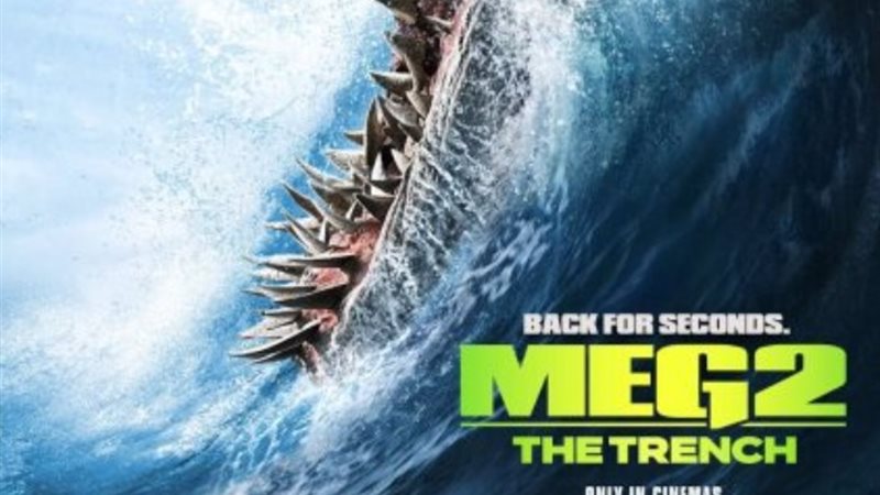The meg