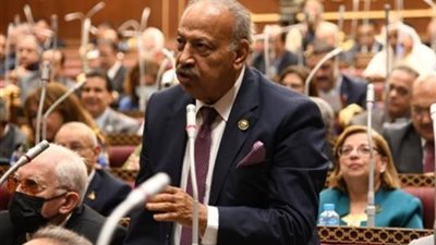 برلماني: افتتاح مسجد السيدة نفسية يرسخ مكانة مصر كوجهة للسياحة الدينية