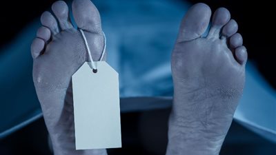 «مجنون فاطمة».. تفاصيل مقتل سيدة ببركة السبع لرفضها الزواج من الجاني