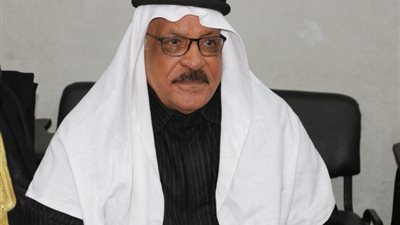 رئيس مجلس القبائل العربية: 66 مليار جنيه حجم الإنفاق على مشروعات التنمية بسيناء