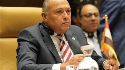 «شكري»: آلية دول الجوار لها قدرة على التفاعل مع الأطراف السودانية