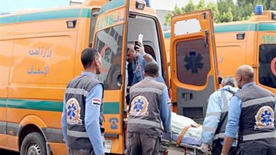 «كانوا بــيساعدوا سيارة أخري» مصرع شخصين بطريق إسكندرية الصحراوي