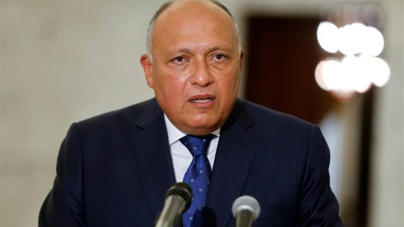 سامح شكري وزير الخارجية