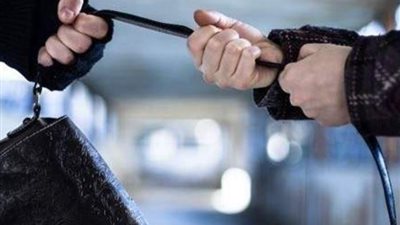 الأهالي يضبطون لصان لسرقتهما سيدة بالمنصورة