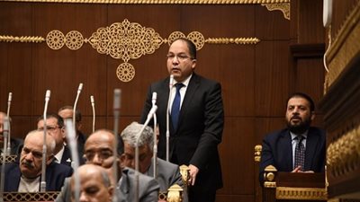 برلماني: الإفراج عن دومة انعكاس لانفتاح القيادة السياسية على جميع أبناء الوطن