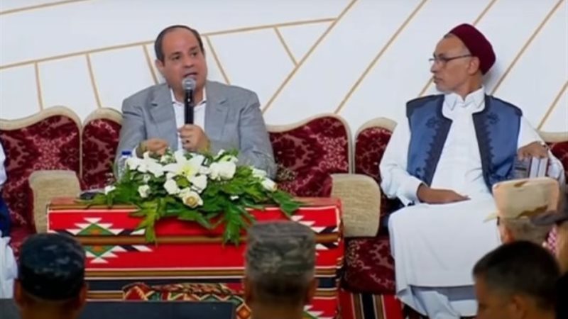 جانب من اللقاء