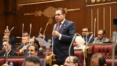 برلماني: مصر تتعرض لهجمة خارجية هدفها تعطيل مسيرة التنمية