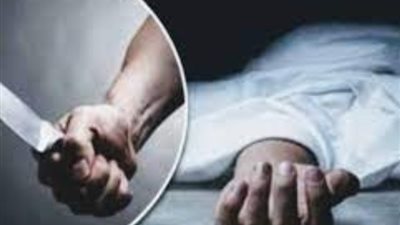 كشف ملابسات مقتل أحد الأشخاص بالبحيرة