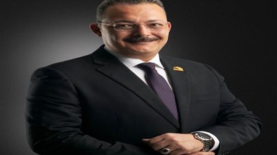 سمير صبري: نعمل على تحسين بيئة الاستثمار الأجنبي في البلاد