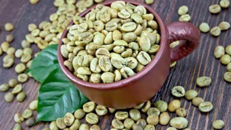 القهوة الخضراء