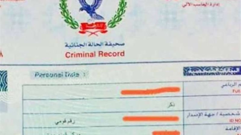 فيش وتشبيه