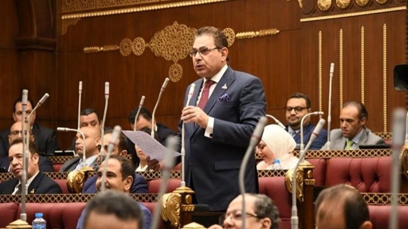 النائب فرج فتحي