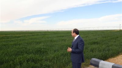أحمد موسي: الرئيس السيسي أعاد أحياء توشكي.. وأعداء الوطن وصفوه بالفنكوش