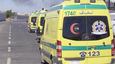 تفاصيل التحريات الأولية بواقعة مشاجرة الزيتون