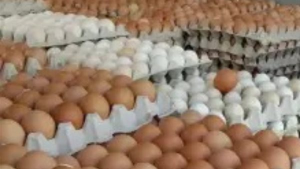 أسعار البيض اليوم