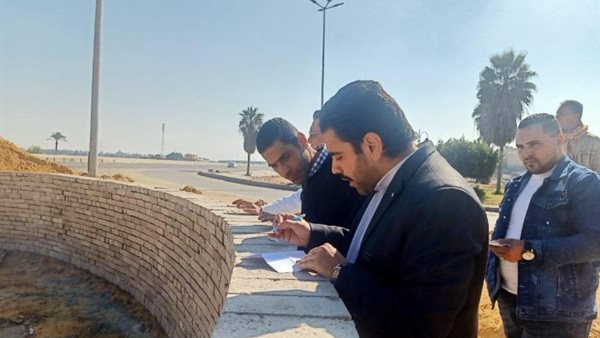 الدكتور احمد اسماعيل
