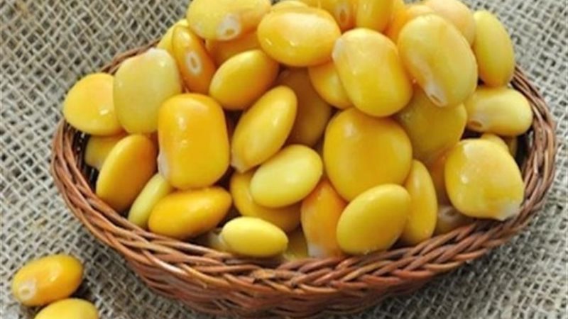 طريقة عمل الترمس