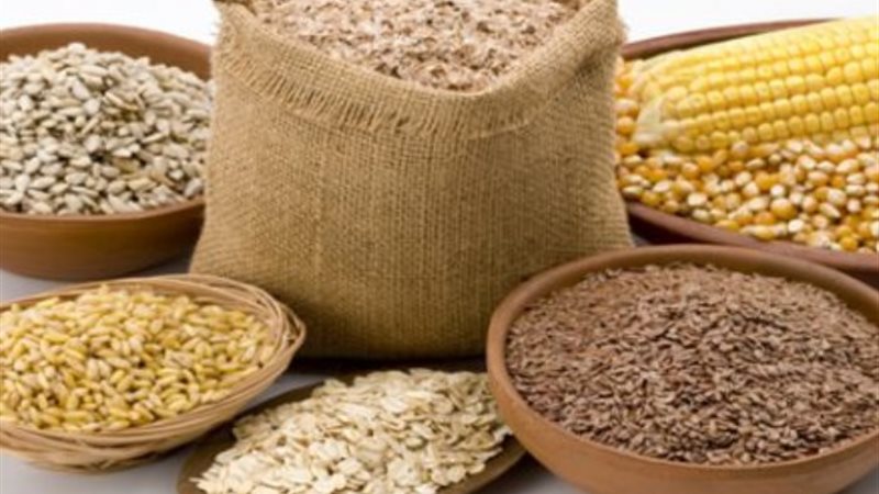 أعلاف نباتية - أرشيفية