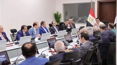 وزير الصحة: 65 جلسة حوارية على جدول أعمال المؤتمر العالمي للسكان