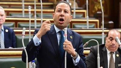 برلماني: كلمة الرئيس بالمؤتمر العالمي للسكان كشفت خطورة الزيادة السكانية