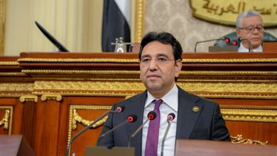 «برلماني»:الحوار الاستراتيجي بين مصر واليابان علامة فارقة بين البلدين