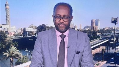 خبير سوداني:  تفاقم الأوضاع الإنسانية لتراخي المجتمع الدولي إزاء المليشيات