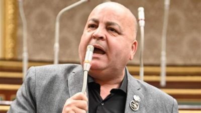برلماني عن ترحيب الطنطاوي بعودة الإخوان: انزل الشارع والشعب يعرفك حجمك