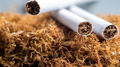 مركز الدراسات بالجامعة الأمريكية يصدر تقريرًا عن أزمة السجائر في مصر