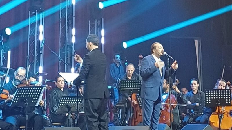 على الحجار