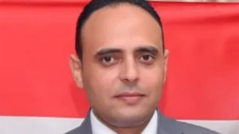 الدكتور سيد خضر الخبير الاقتصادي
