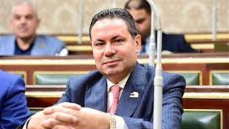 النائب هشام الحصري