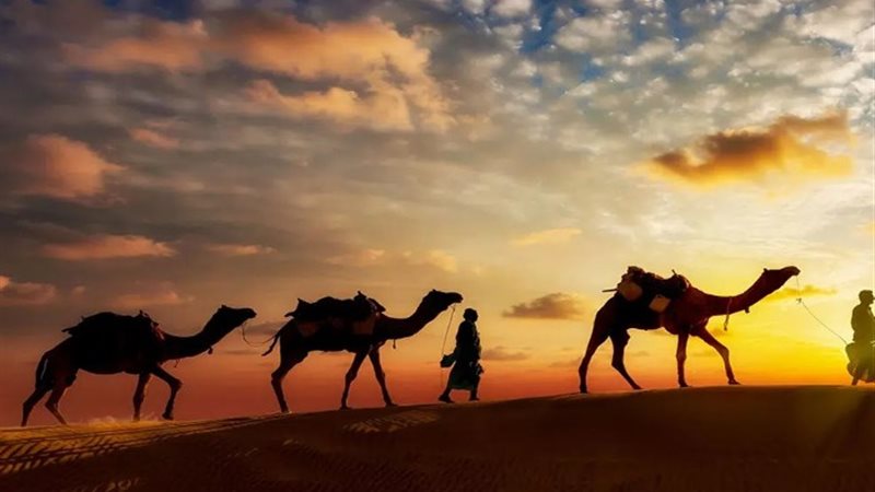 أرشيفية