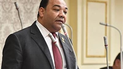 برلماني: لقاء «الطنطاوي ونور» بلبنان خلف دعوات عودة الإخوان للشارع السياسي