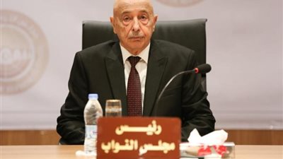 رئيس البرلمان الليبي: ما حدث في بلادنا كارثة لا مثيل لها