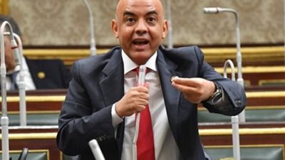النائب عمرو هندي: الرئيس السيسى حريص على توفير «حياة كريمة» للمواطنين