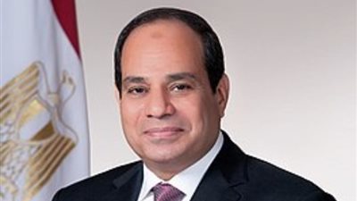 تنسيقية شباب الأحزاب تثمن قرارات الرئيس عبدالفتاح السيسي