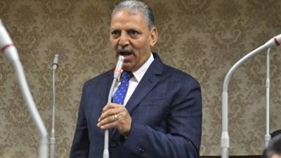 «دفاع النواب»: قرارات الرئيس السيسي سيكون لها مردود فوري وإيجابي على المواطن