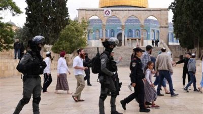 «الخارجية الفلسطينية» تُحمّل المجتمع الدولي المسؤولية عن فشله لإنهاء الاحتلال