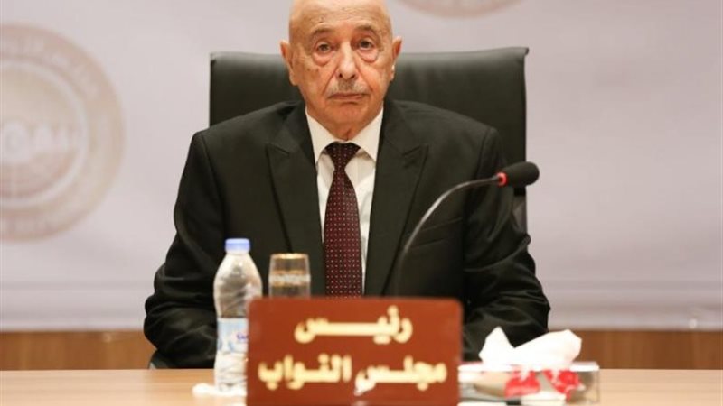 عقيلة صالح رئيس مجلس النواب الليبي