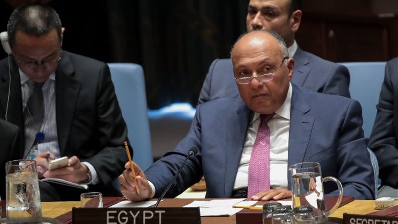سامح شكري وزير الخارجية