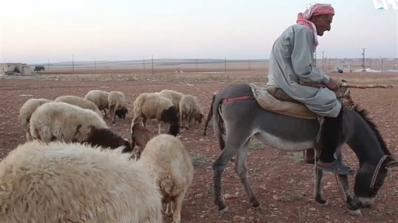 تعبيرية