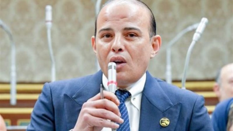 النائب عمرو القطامي