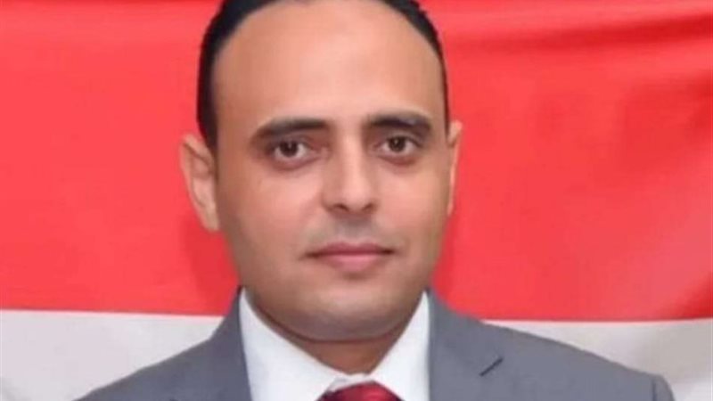 الدكتور سيد خضر الخبير الاقتصادي