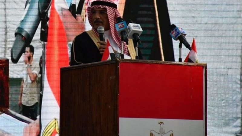 رئيس مجلس القبائل المصرية