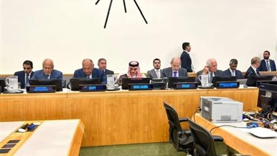 شكرى: مصر تتطلع لمناقشة جميع السبل لإعادة السلام في الشرق الأوسط
