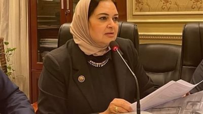 النائبة منى عمر: الصعيد تغير للأفضل فى عهد السيسى ومصر تشهد تنمية غير مسبوقة