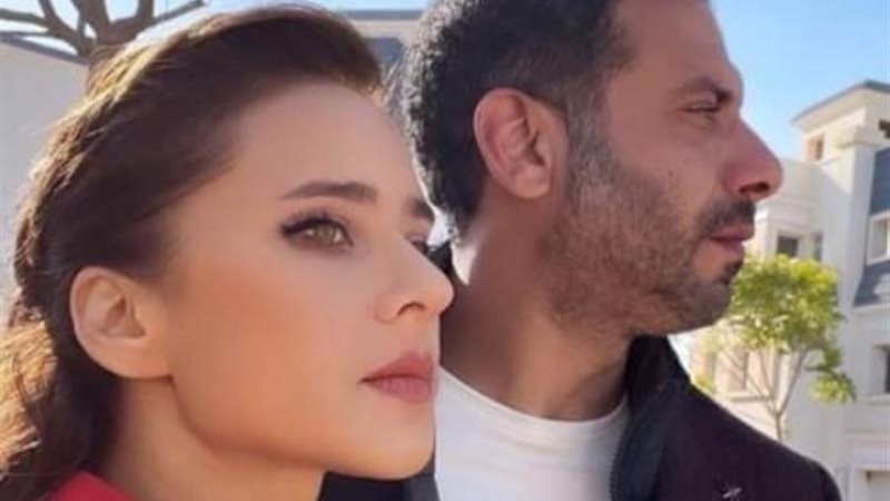 محمد فراج ونيلي كريم