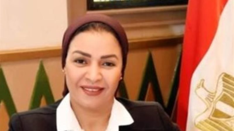النائبة ألفت المزلاوي