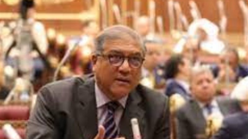 النائب عفت السادات