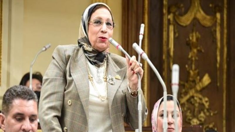 النائبة إيناس عبد الحليم